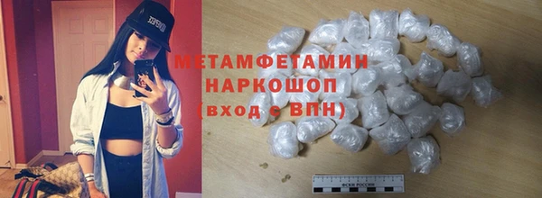 сатива Волоколамск