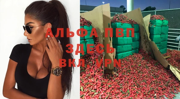 сатива Волоколамск