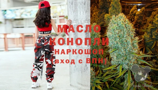 сатива Волоколамск