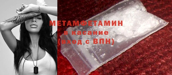 сатива Волоколамск