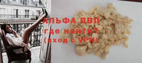 сатива Волоколамск
