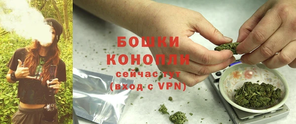 сатива Волоколамск