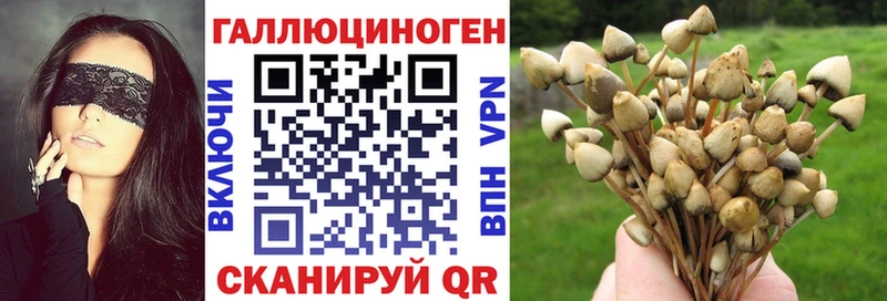 Купить  Видное  Галлюциногенные грибы прущие грибы 